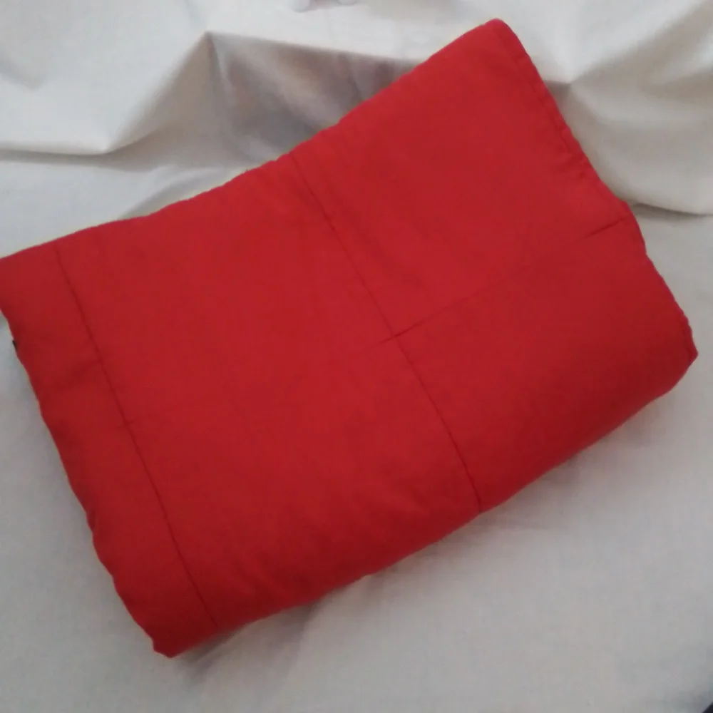 Reversible Red/Blue Twin Comfortor and Blue Bedskirt